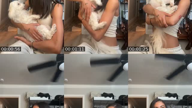 TikTok live: hi by @hallepowe