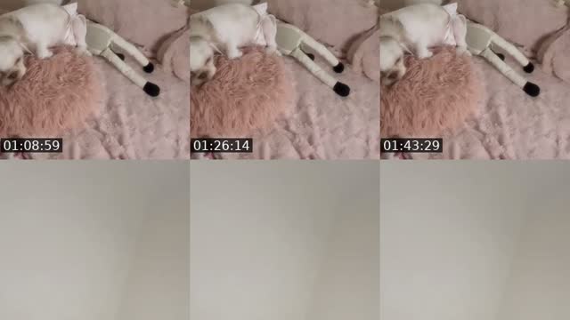 @juliee_yace3 TikTok live from 2026-08-03