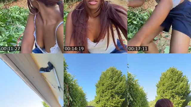 @freyr_son TikTok live from 2026-08-04