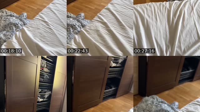 @xyha798 TikTok live from 2026-08-04