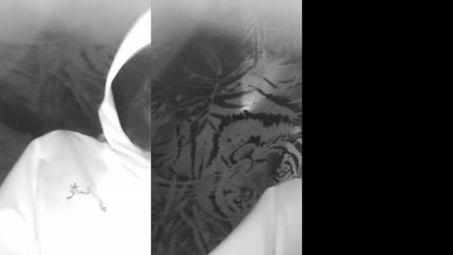 @nicol_01_33 TikTok live from 2026-08-04