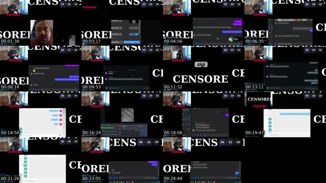 Hungary TikTok live: A NAGY 12 ÓRÁS PDFHUNT! by @predatorhunt03