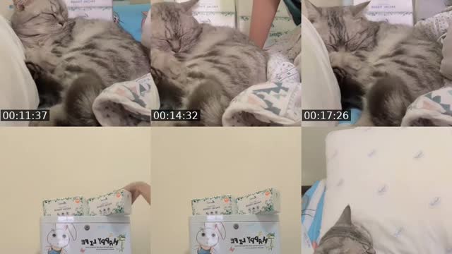 TikTok live: หาค่าเปียกๆคับป๋ม🙏😻 by @sming0236