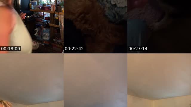 TikTok live: 🎂birthday month🍰🍒 by @littlelulus123