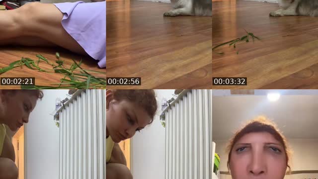 @gozdemeta TikTok live