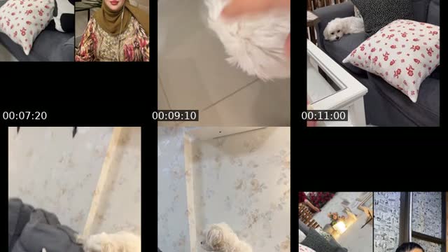 @fatma.8055 TikTok live