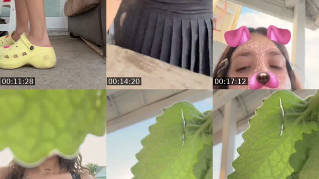 @venpapi4 TikTok live from 2026-08-04