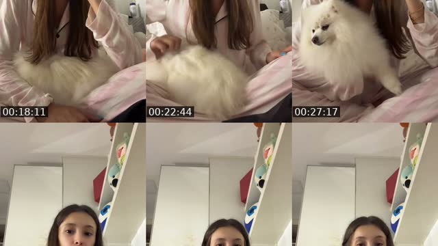 @laurenbaccaro TikTok live from 2026-08-05