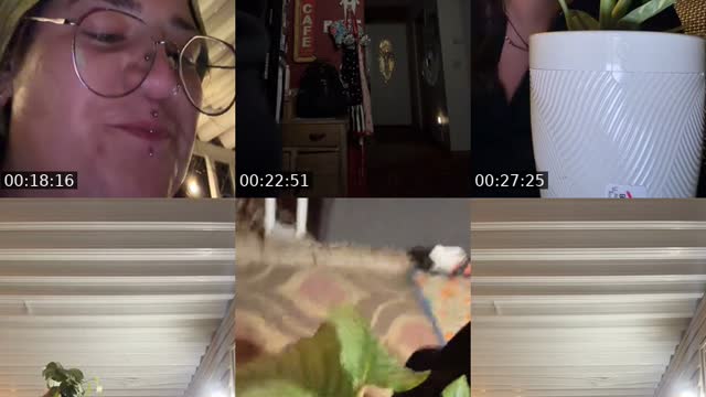 TikTok live: just hanging out by @wariosballs