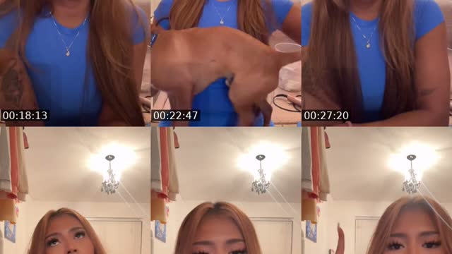 TikTok live: HAUL TIME by @s0ggyb0b4
