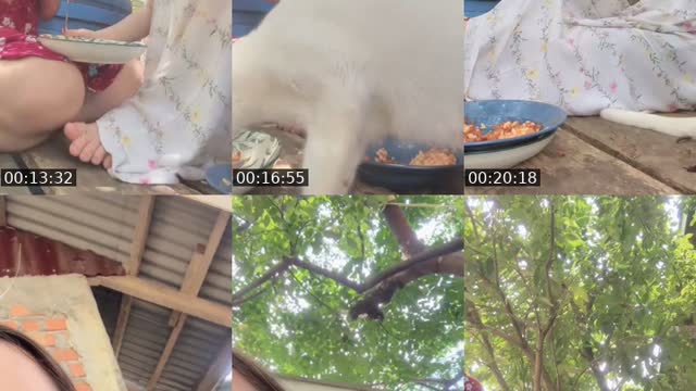 @gayamuedan TikTok live