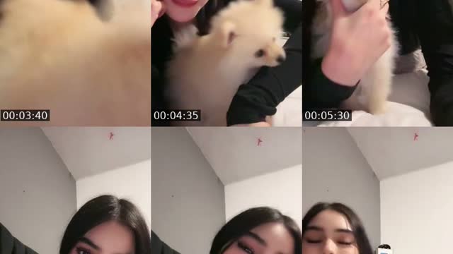 @_alexarios_ TikTok live