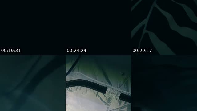 @max4isweird TikTok live from 2026-08-06
