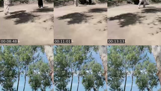 @nhubee02 TikTok live from 2026-08-06