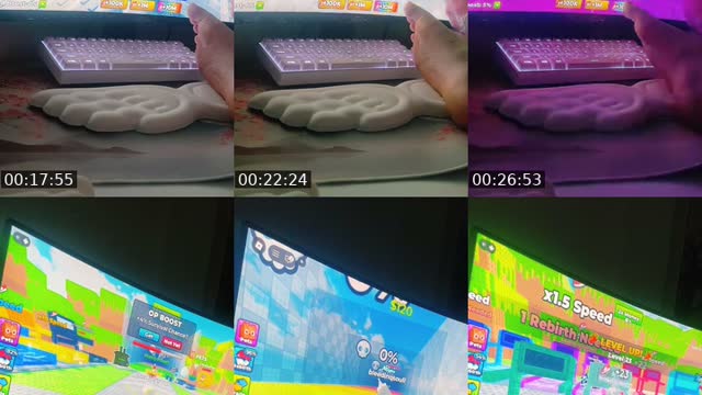 @iqsliveacc TikTok live from 2026-08-05