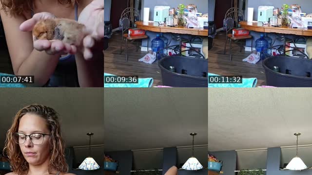 @tbizzle7194 TikTok live from 2026-08-05