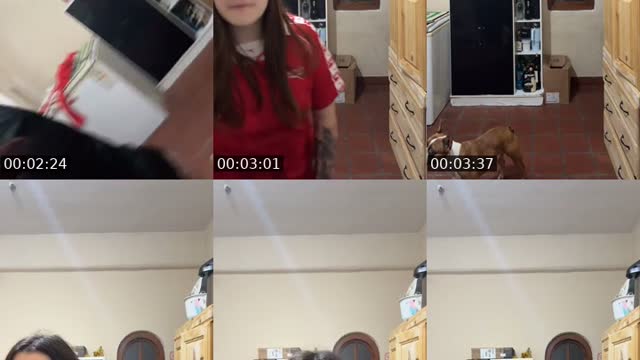 TikTok live: con alii by @ariiiana.77