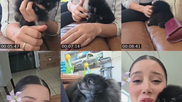 @lavidaconcelestee TikTok live from 2026-08-05