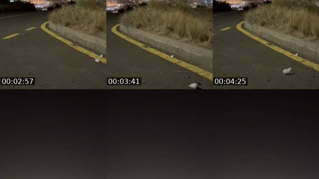 @sshraan TikTok live from 2026-08-05