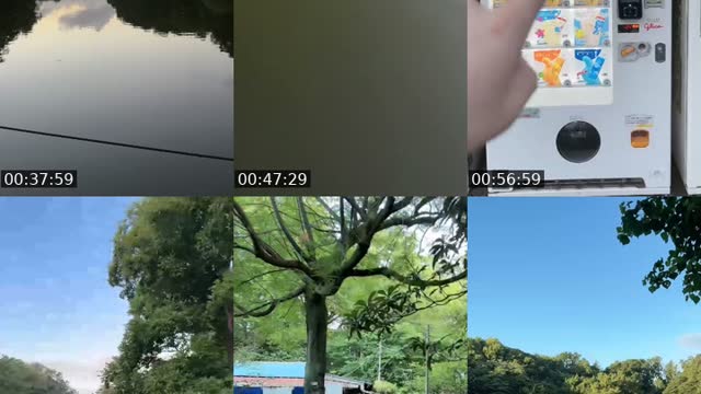 @shinshincaracara TikTok live