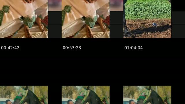 @user9946952373510 Saudi Arabia TikTok live from 2026-08-06