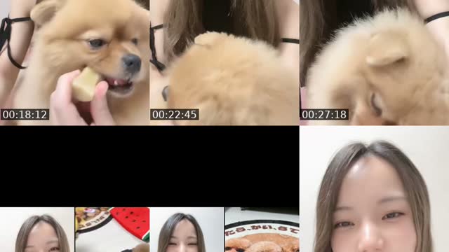 TikTok live: わんわん！ by @omochi00mochimochi