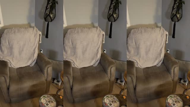 @sun_chaser_79 TikTok live from 2026-08-07