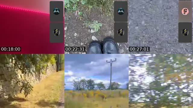 TikTok live: Mentioned you baztard by @dorothysmissingdand