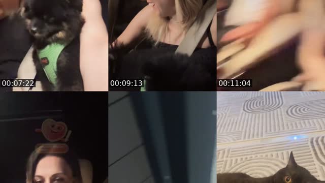@konteynerevim02 TikTok live