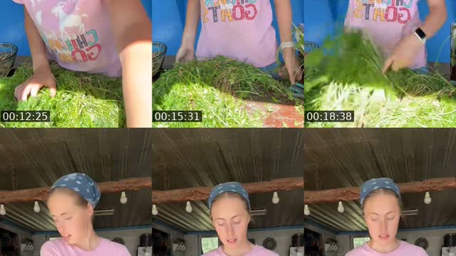 TikTok live: Harvesting by @elisematson