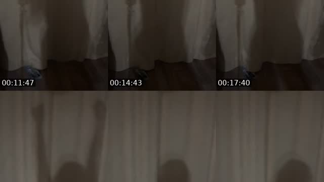 @margo270390 TikTok live from 2026-08-06