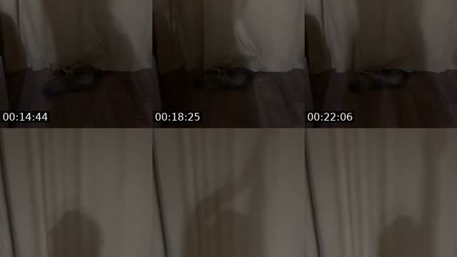 @margo270390 TikTok live
