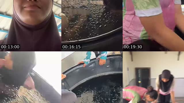 TikTok live: masuk by @adlynnabeelah_