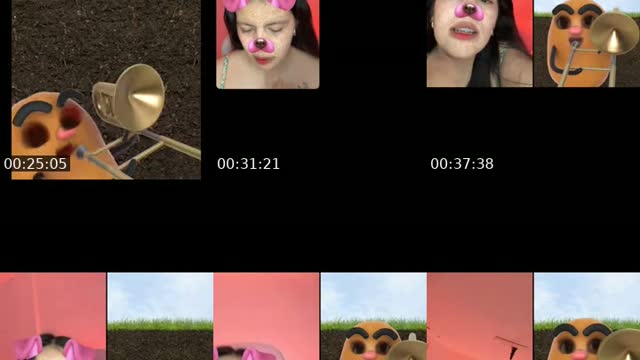 @dulce_pepita TikTok live