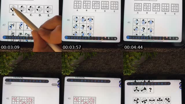 @yudipilato TikTok live