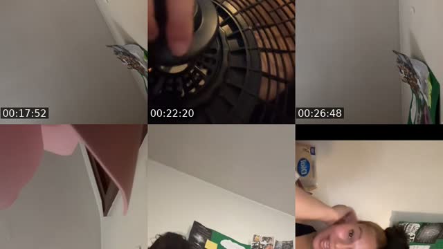 @misshoney8888 TikTok live from 2026-08-07