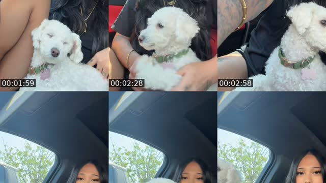 @sillybrehh TikTok live
