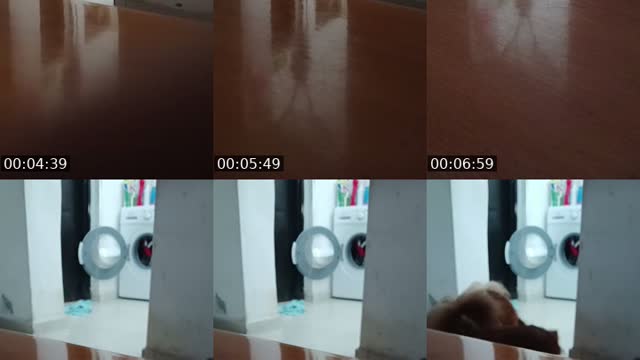@anabala07 TikTok live