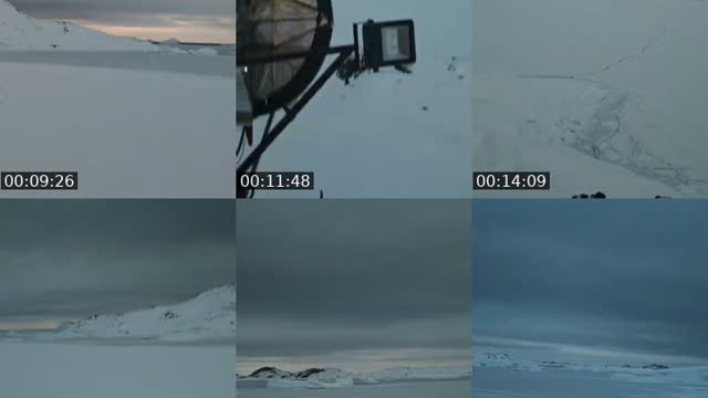 @lalo_antartico TikTok live