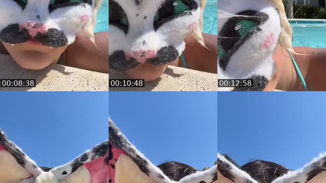 @foxtrotx32 TikTok live from 2026-08-07