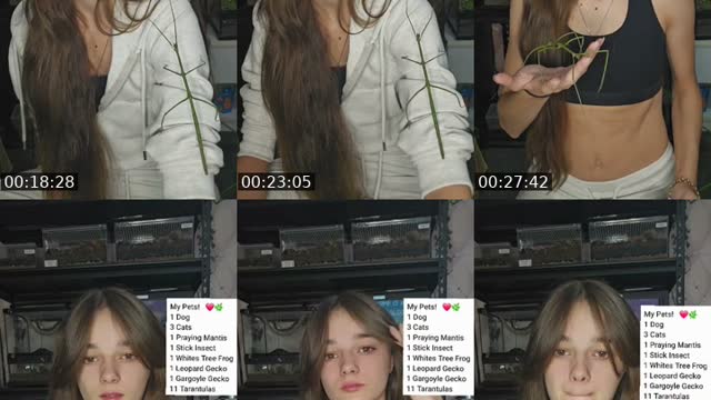 TikTok live: WARNING EXOTIC PETS-(I'm 19) by @skys.animal.zoo