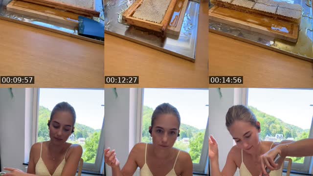 @gardiennedesabeilles TikTok live