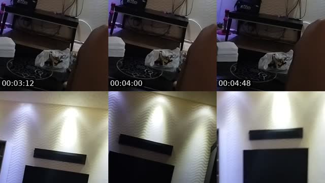 @namazova.24.04 TikTok live from 2026-08-08