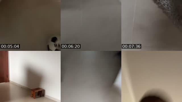 @talesaryy TikTok live