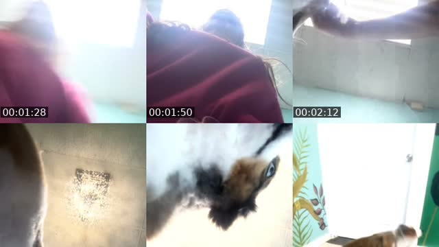 Meteor shower? - @olderisbetter4u