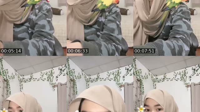 @mimi231146 TikTok live