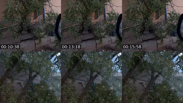 @k.s.a1122 TikTok live from 2026-08-09