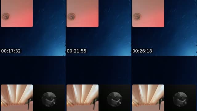 @deerladarr TikTok live