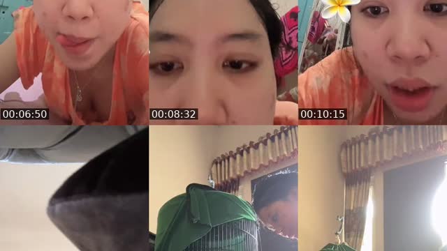 @nabilla.cr6 TikTok live