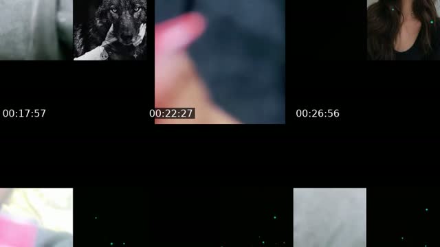 @mllxr21 TikTok live